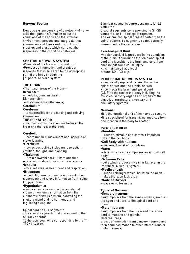 genbio-finals-lesson-1-pdf-central-nervous-system-spinal-cord