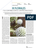 Mix Florales y Su Contribución Al Control Biológico