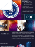 Conceptos Basicicos de Programcion