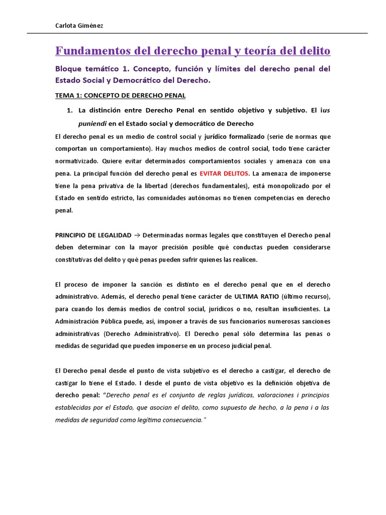 Fundamentos del Derecho Penal y Delito | PDF | Derecho penal | Castigos