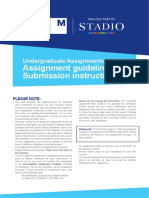 A Assignment Guidelines & Submission Instructions 2017 - UNDERGRADUATES 17a