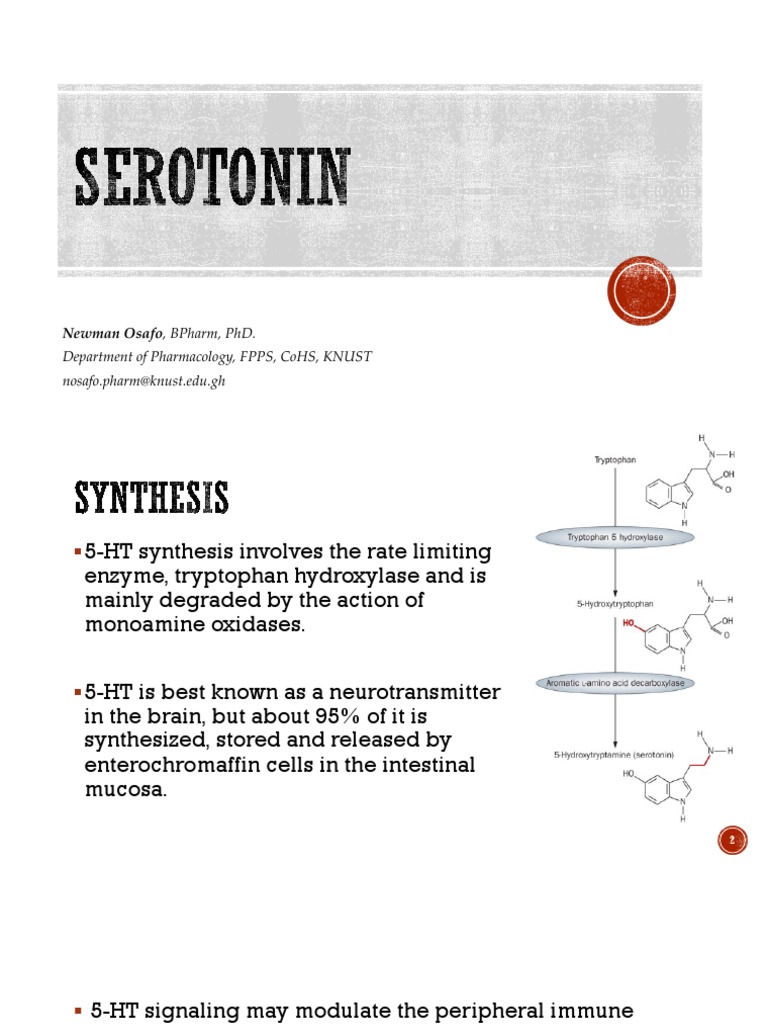 Serotonin The Ap Psychology Definition You Need To Know - x8i0mpe