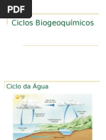 ciclos biogeoqumicos