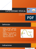 Cateterismo Vesical