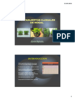 Micropropagación en Nogal