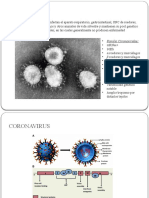 Coronavirus Emergentes