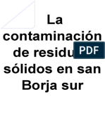 La Contaminacion de Residuos Solidos en San Borja Sur