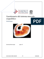 Cuestionario Del Sistema Musculo Esquelético Embriologia