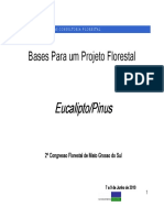 03 - Bases para Um Projeto Florestal