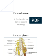 210420PM PPT - Femoral Nerve