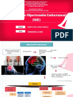 Sd. Hipertensión Endocraneana