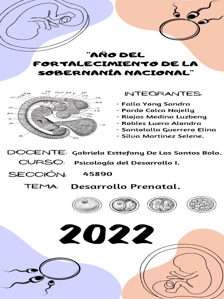 Infografía. Desarrollo Prenatal.grupo3 | PDF