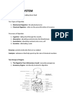 Digestive System: Digestion-Process of Breaking Down Food