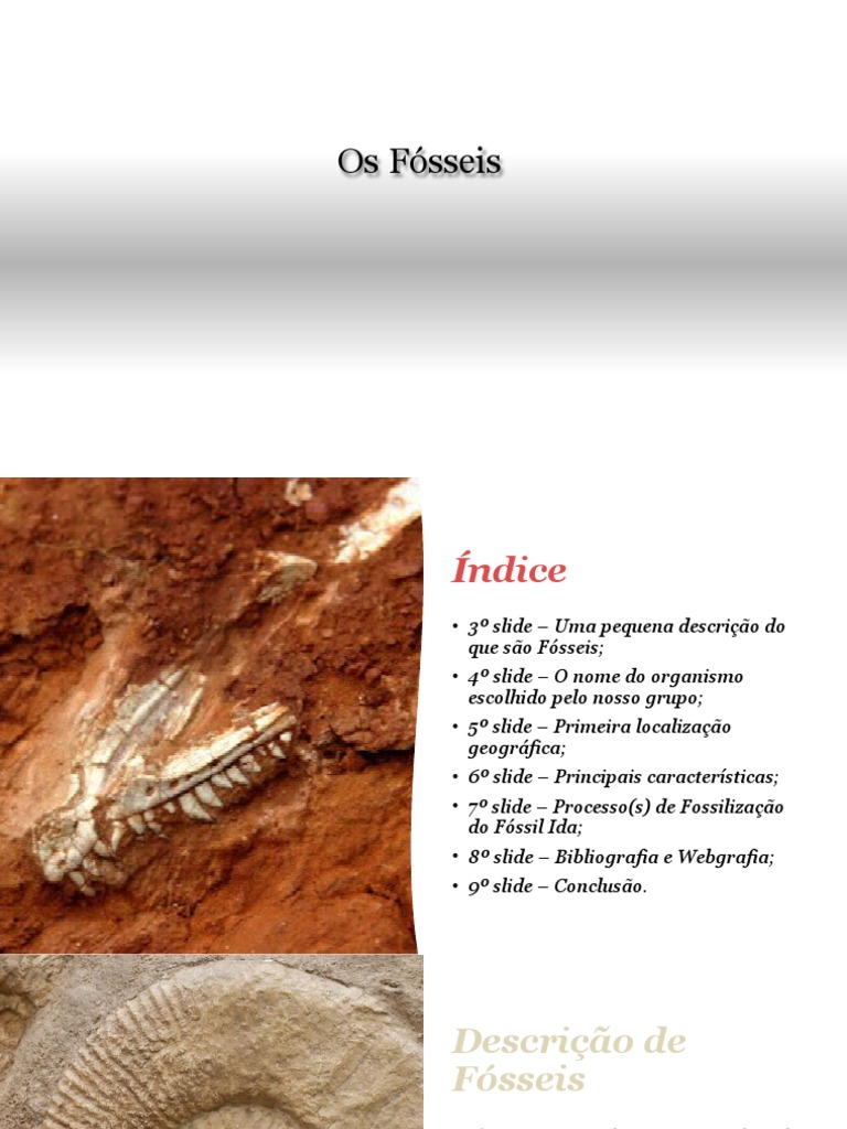 Os Fosseis | PDF