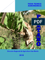 Agronomica Platano