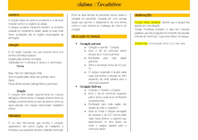 Resumo Sistema Circulatório Pdf Coração Sistema Circulatório