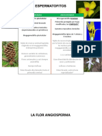 14-Angiospermas + Polinización