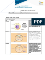 Laboratirio Formato Prácticas 6 y 8