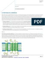 Semana 4 4.4 Proteínas de La Membrana