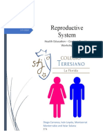 Reproductive System