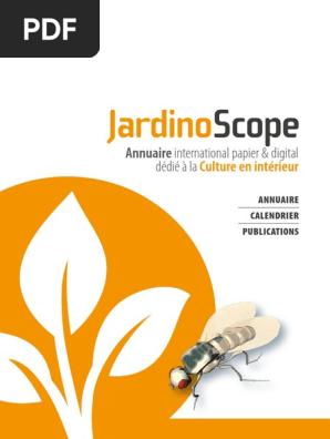 JS (2)