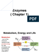 Chapter 1 - Enzymes