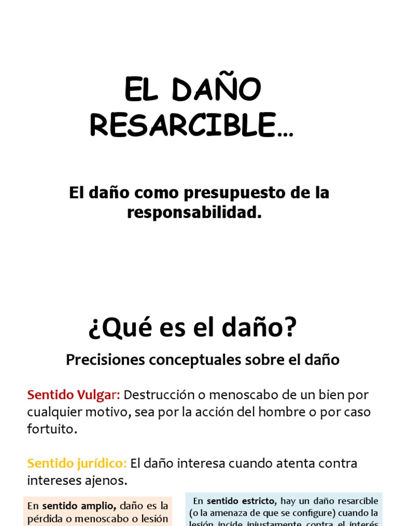 El Daño Resarcible | PDF | Daños y perjuicios | Bienes (Ley)