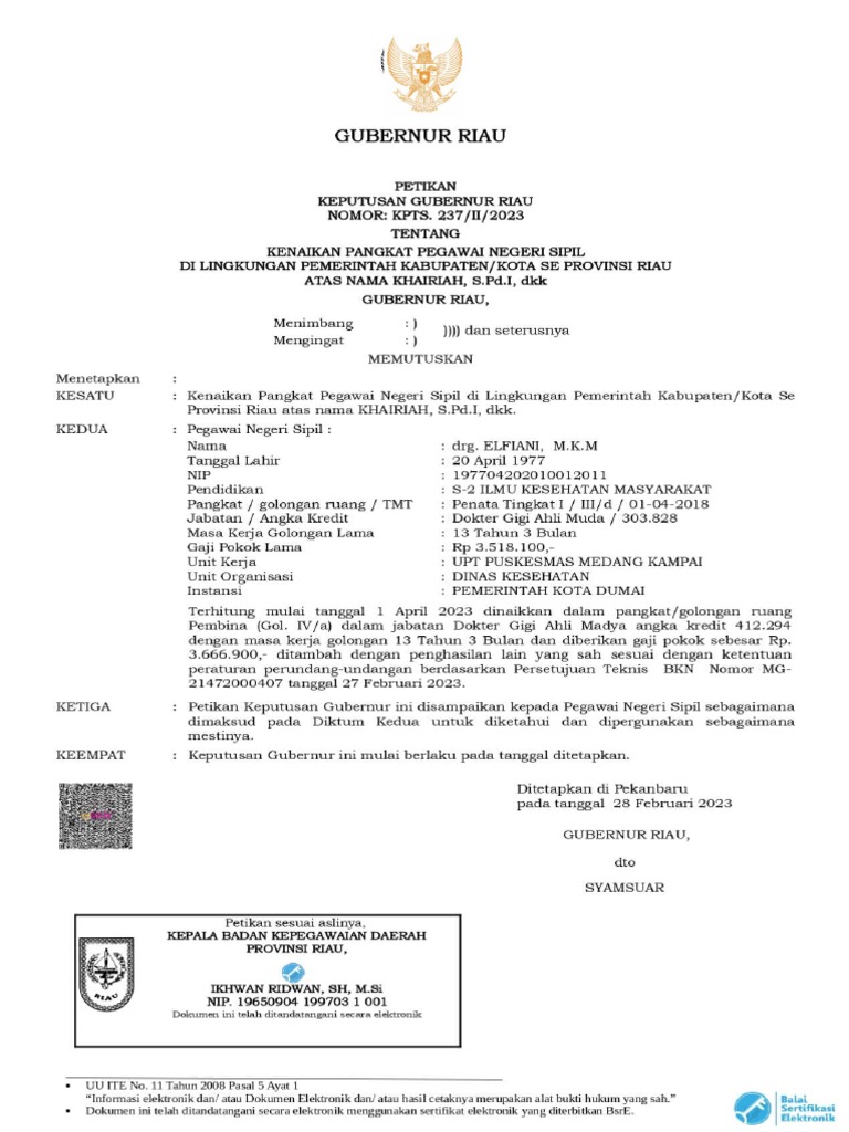 SK DRG | PDF