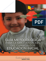 Guia Metodologica para La Implementacion Del Curriculo
