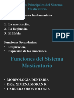 Funciones Del Sistema Masticatorio (1)