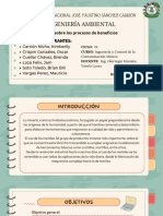 Informe Sobre Los Procesos de Beneficio