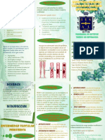 Enfermedad Vascular
