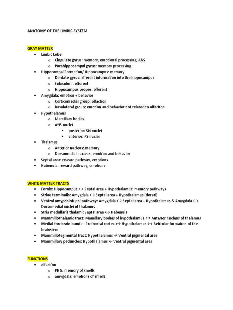 Limbic System Anatomy & Functions | PDF | Hippocampus | Cingulate Cortex