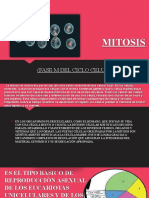 Mitosis Clase 8