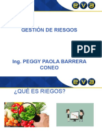 Gestion de Riesgos