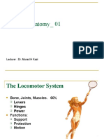 Systemic 01osteology