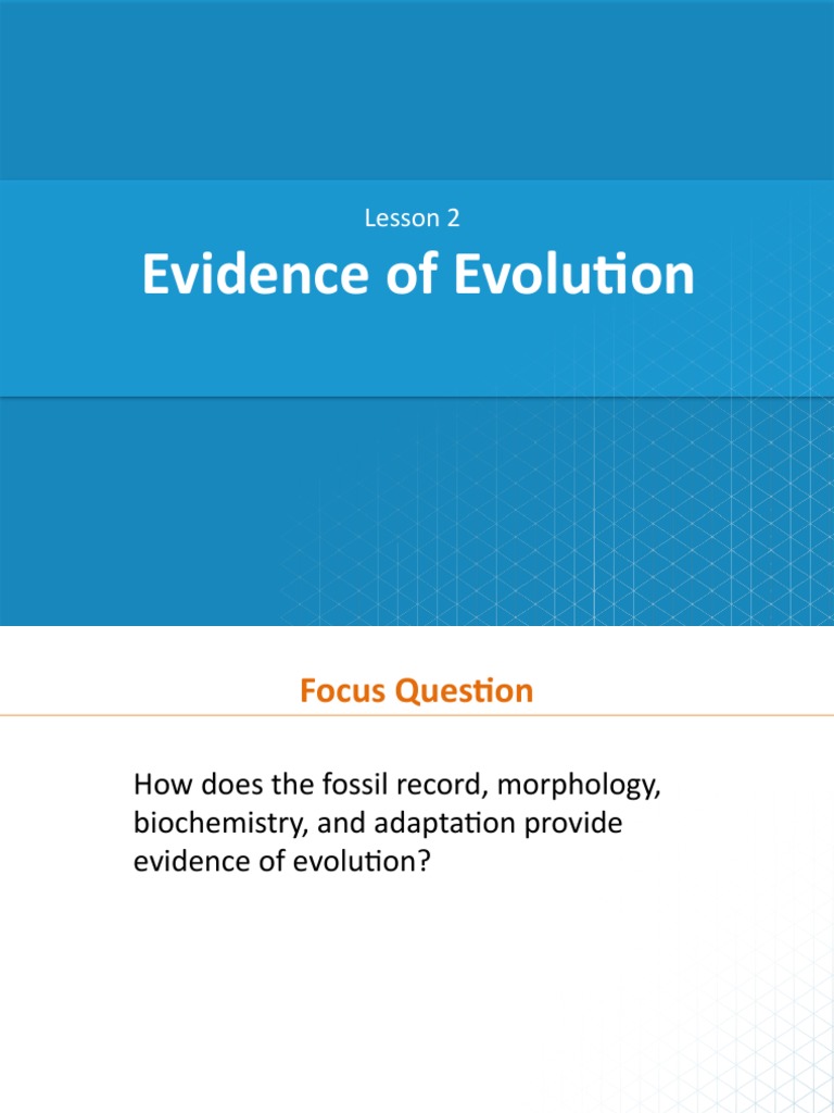 4 - Evidence of Evolution | PDF | Evolution | Adaptation