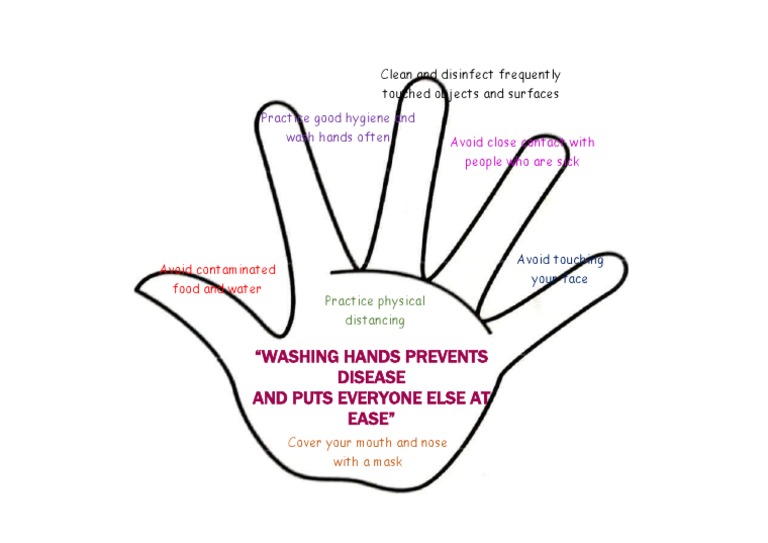 The Hand Activity | PDF