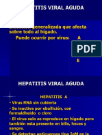 Hepatitisviralaguda 100129193925 Phpapp01