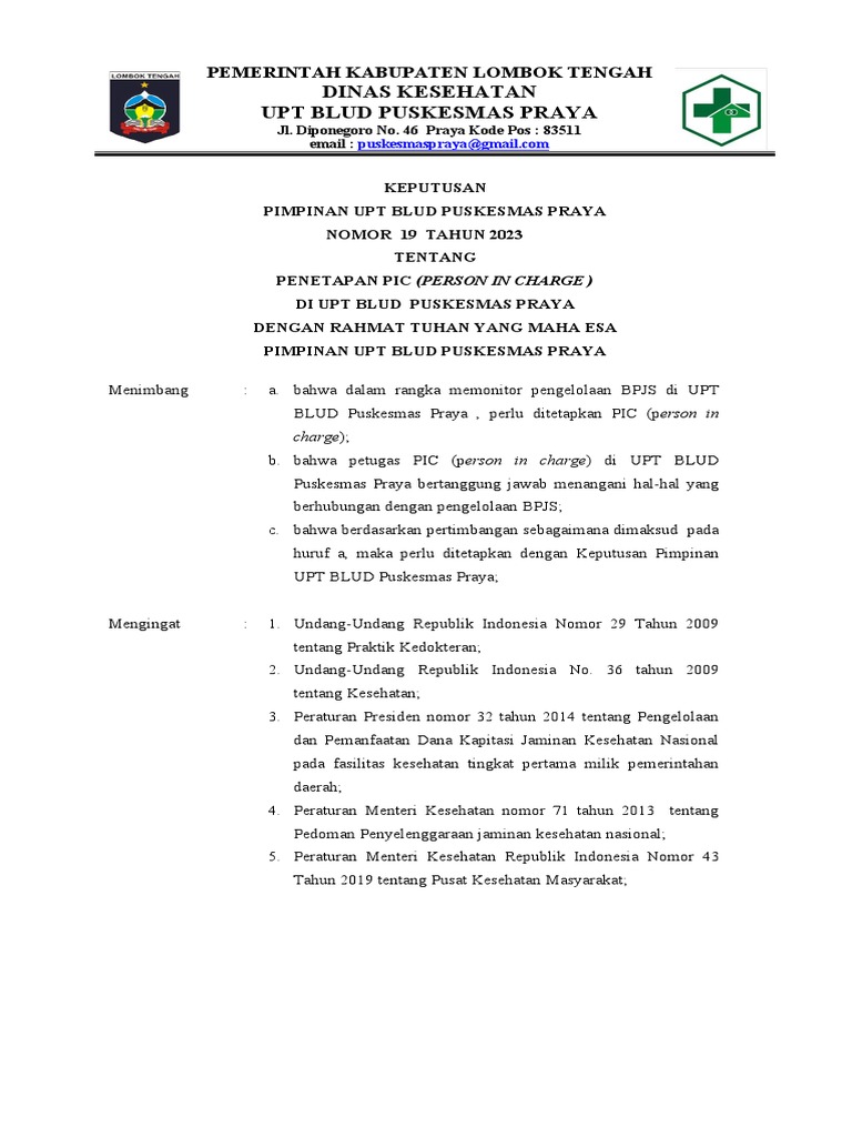 Penetapan PIC di Puskesmas Praya | PDF
