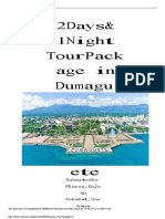 Domestic Tour Package