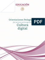Orientaciones Pedagógicas - Cultura Digital