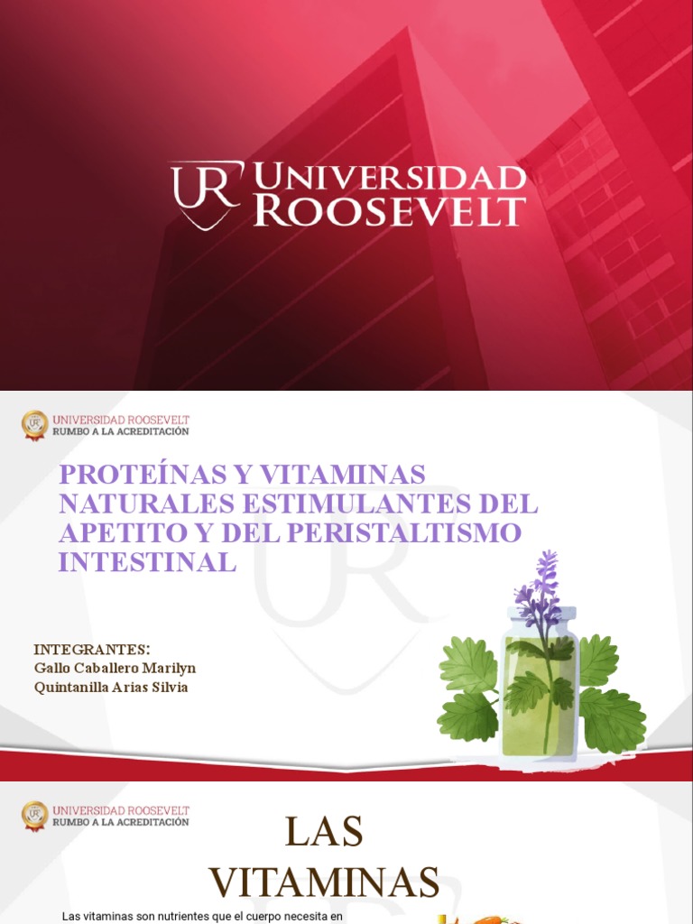 Vitamina Y Proteinas Pdf Vitamina Alimentos