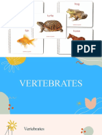 VERTEBRATES