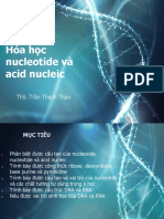 B4.1. HH A.nucleic