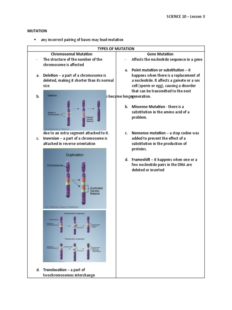 SCIENCE 10 (4TH Quarter) - Mutation | PDF