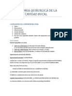 Cirugía Tema 3 ANATOMIA QUIRURGICA DE LA CAVIDAD BUCAL