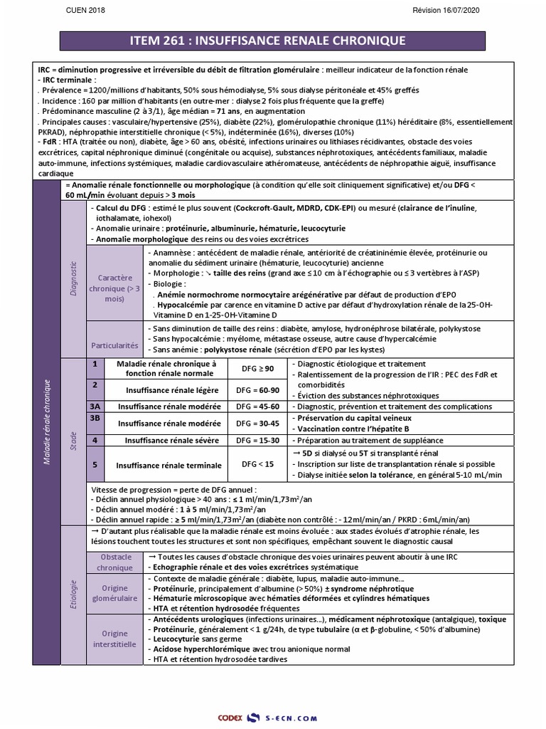 Item 261 - Irc - V3 | PDF