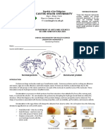 Denaturing Proteins (Worksheet)