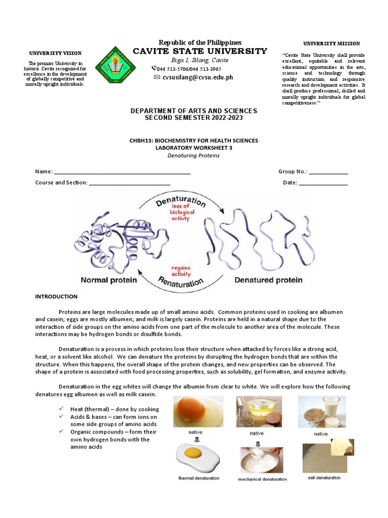 Protein Denaturation Lab Worksheet | PDF | Wellness
